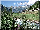 P7284528.JPG