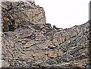 P7171477.JPG