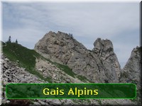 [Gais Alpins]