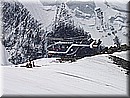 P7093571.JPG