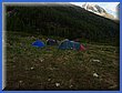 P6110743.JPG