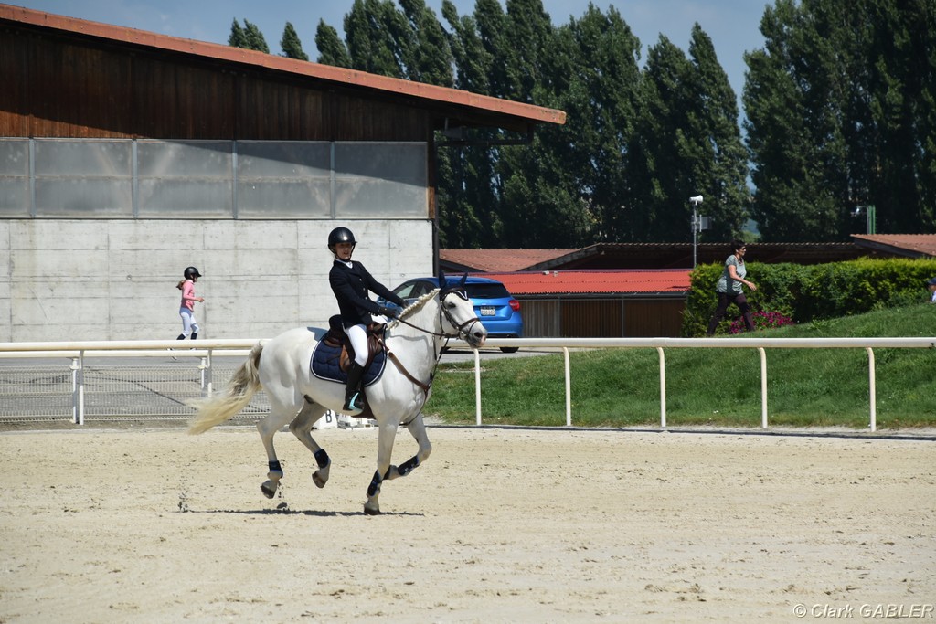 D56_2401.JPG