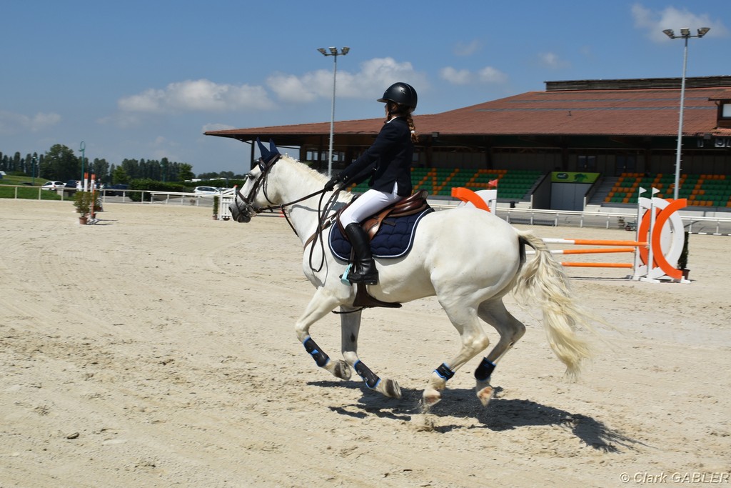 D56_2407.JPG