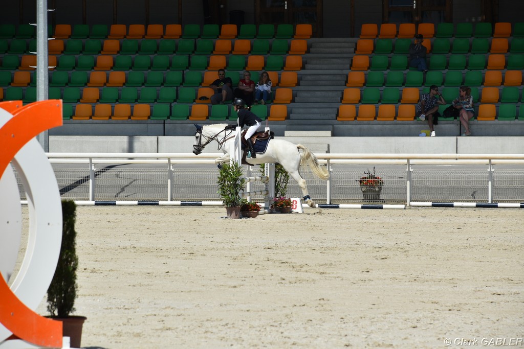 D56_2421.JPG