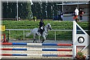 D56_2333.JPG