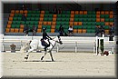 D56_2399.JPG