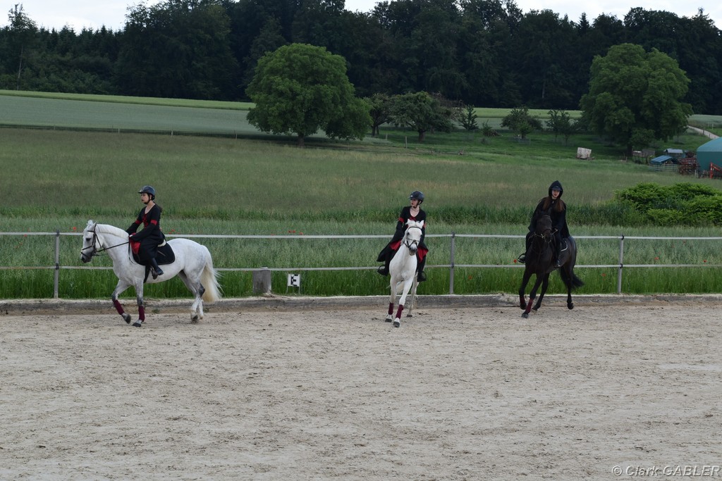 D56_1617.JPG