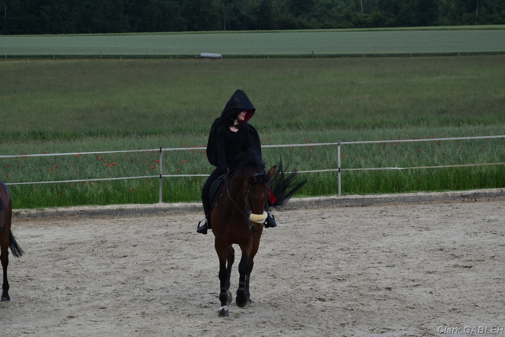 D56_1633.JPG