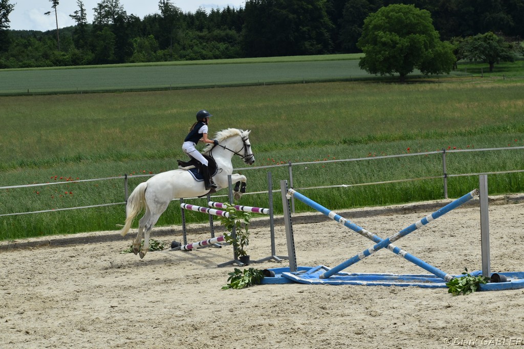 D56_2067.JPG