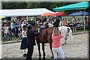 D56_1769.JPG