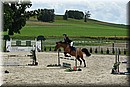 D56_2032.JPG