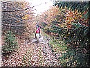P1040320.JPG