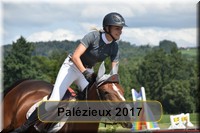 [Palzieux 2017]