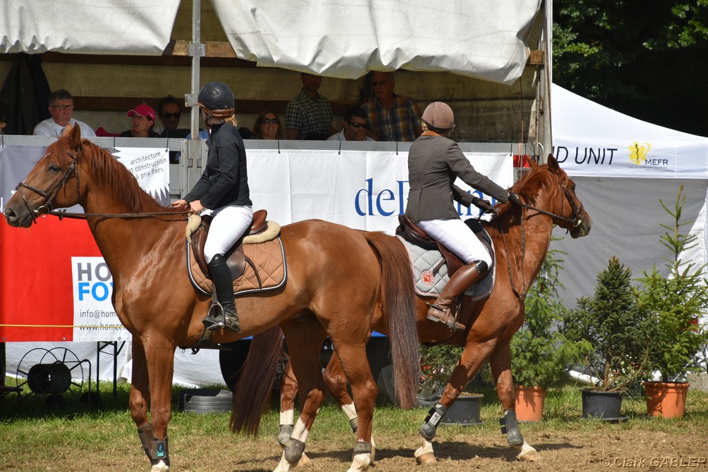 D56_0224.JPG