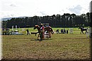 D56_0043.JPG