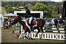 D56_0105.JPG
