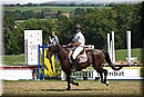 D56_0181.JPG