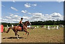 D56_0219.JPG