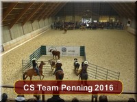 [Team Penning]