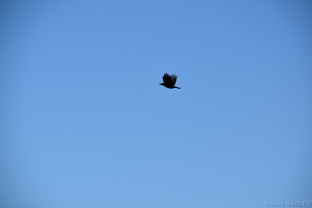 D56_3048.JPG