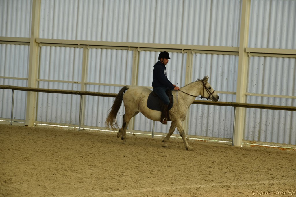 D56_3153.JPG
