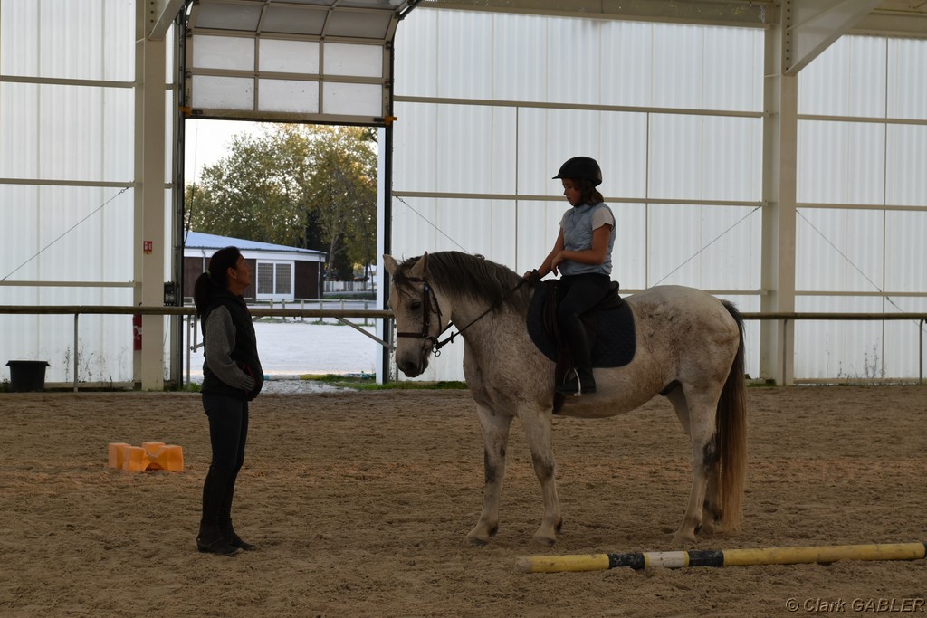 D56_3241.JPG
