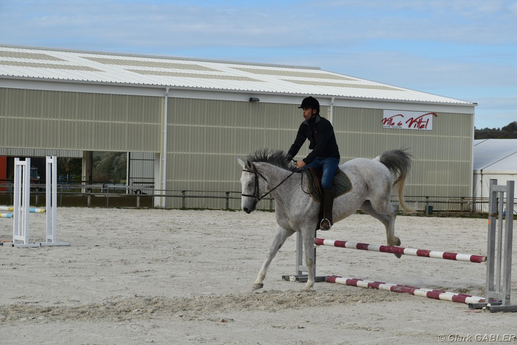 D56_3316.JPG