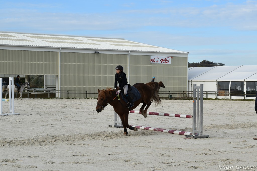 D56_3317.JPG