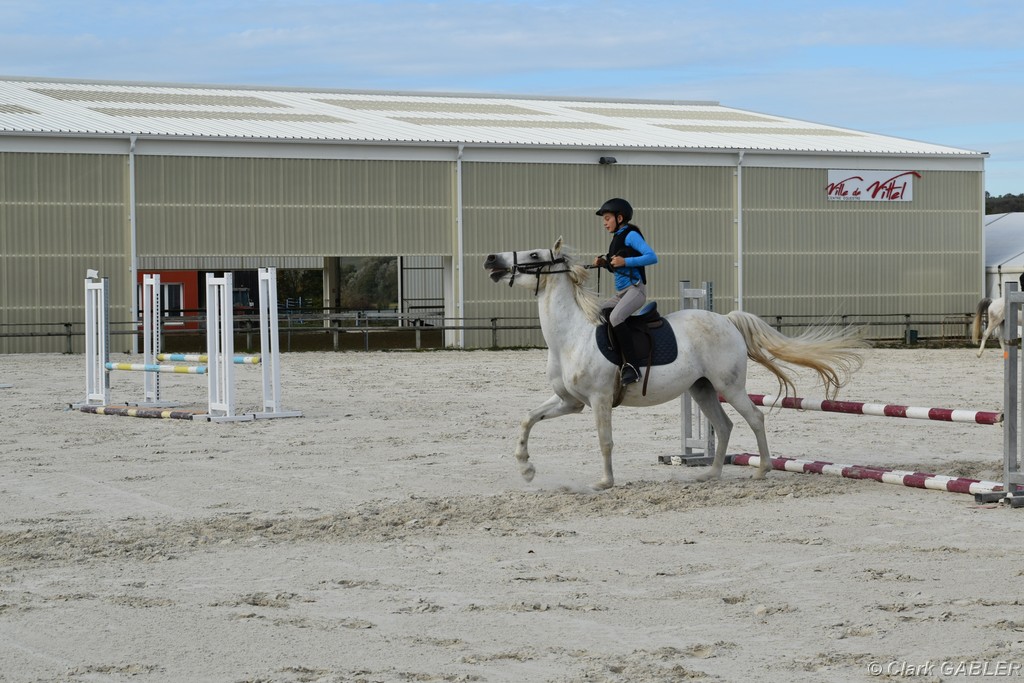 D56_3319.JPG