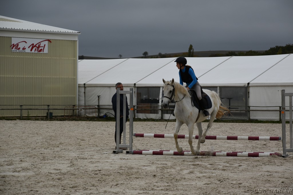 D56_3333.JPG