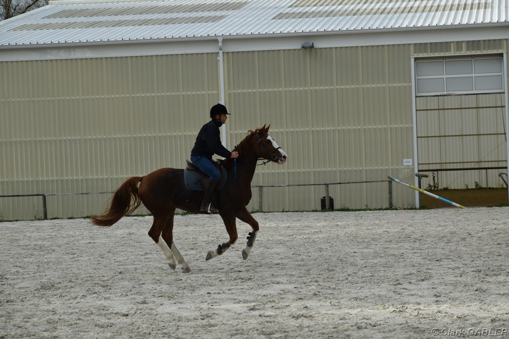 D56_3407.JPG
