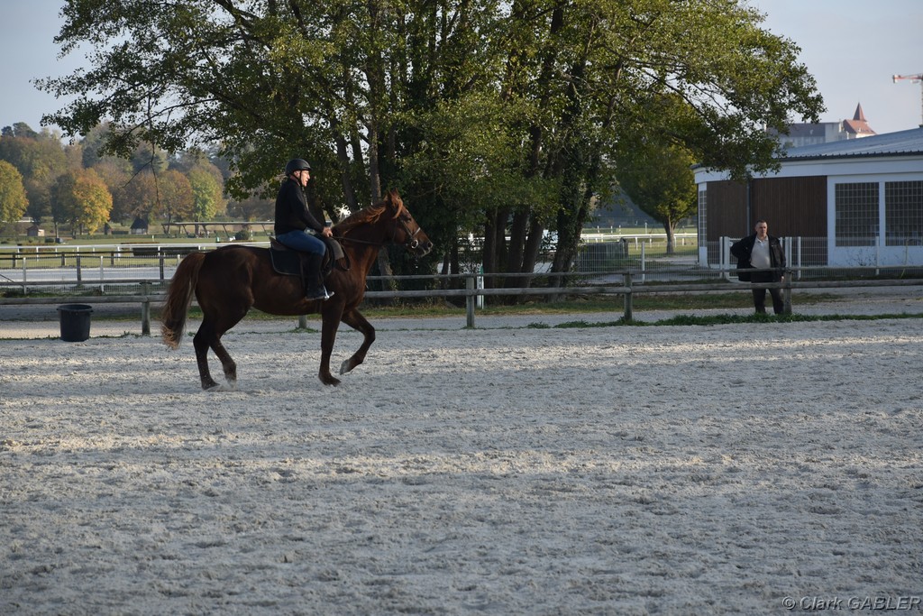 D56_3500.JPG