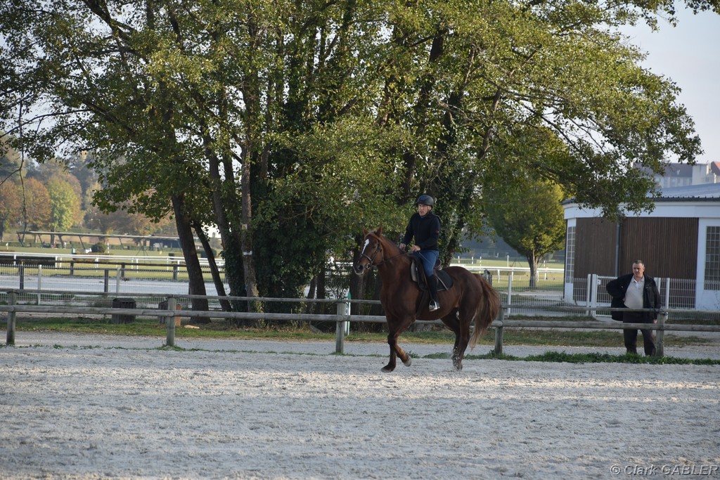 D56_3502.JPG
