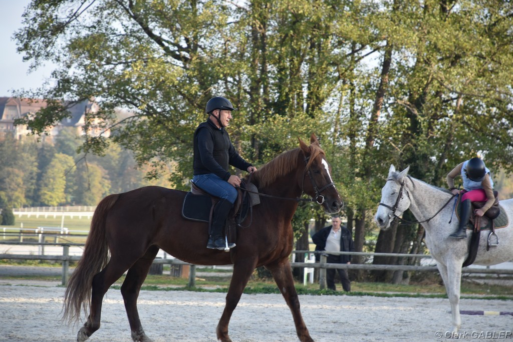 D56_3505.JPG