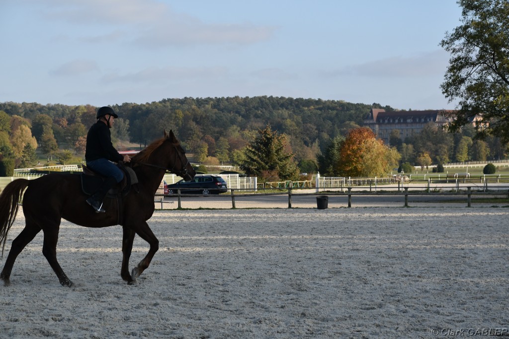 D56_3507.JPG