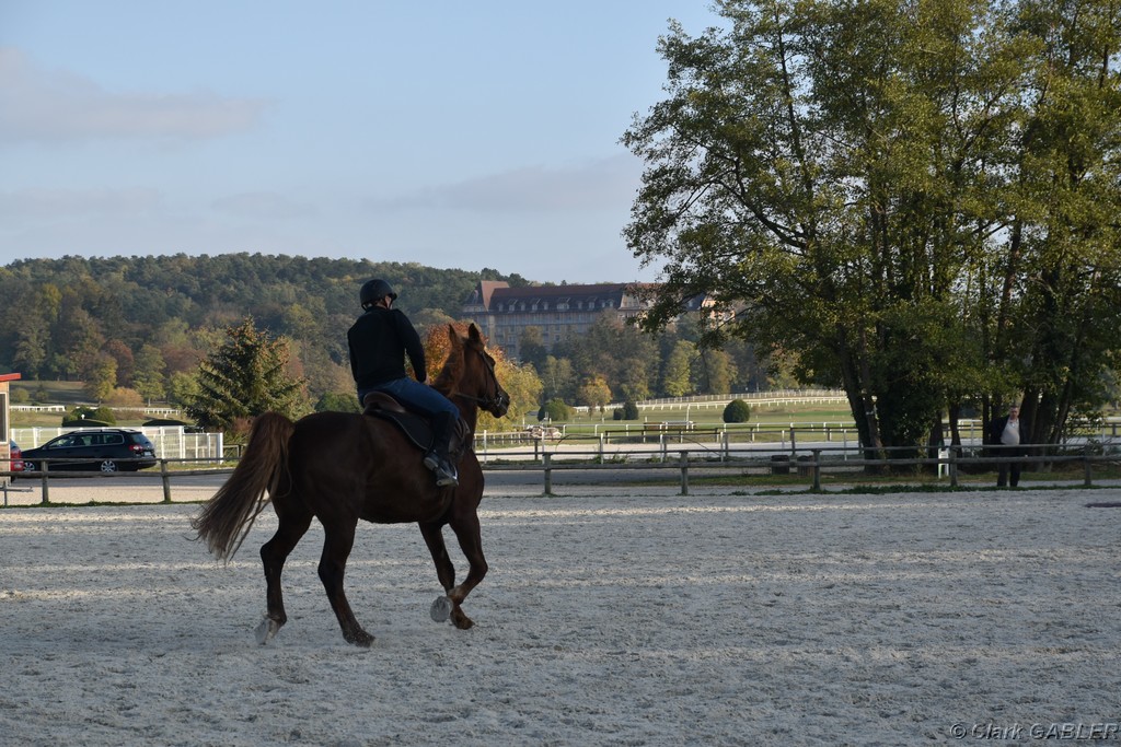 D56_3508.JPG