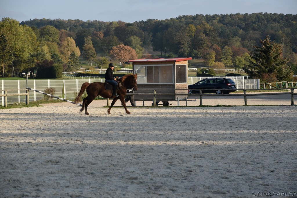 D56_3510.JPG