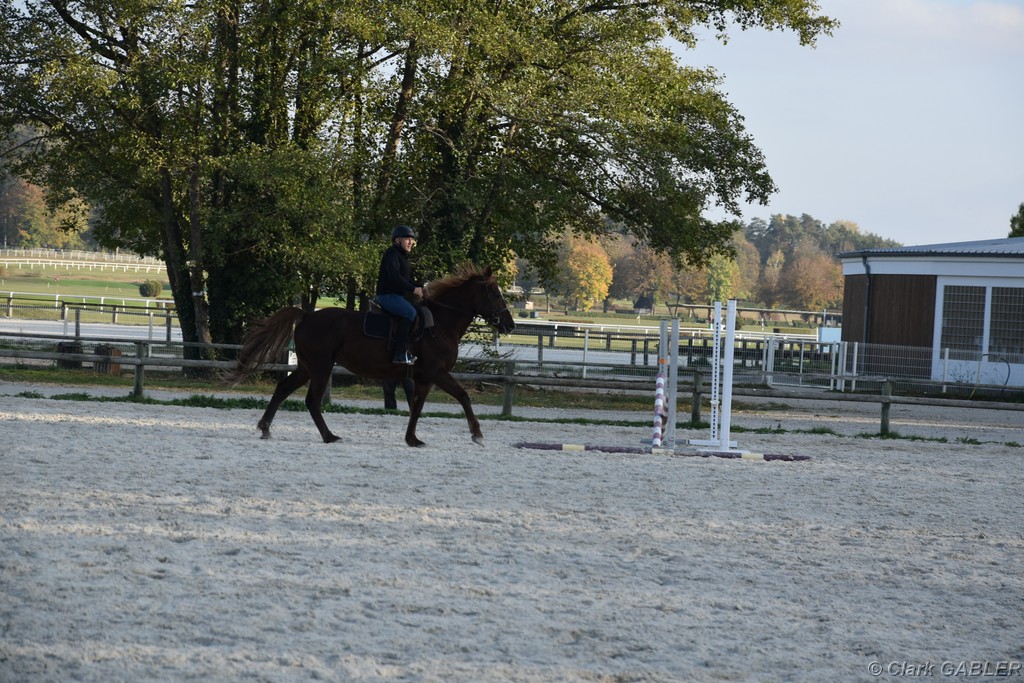 D56_3512.JPG