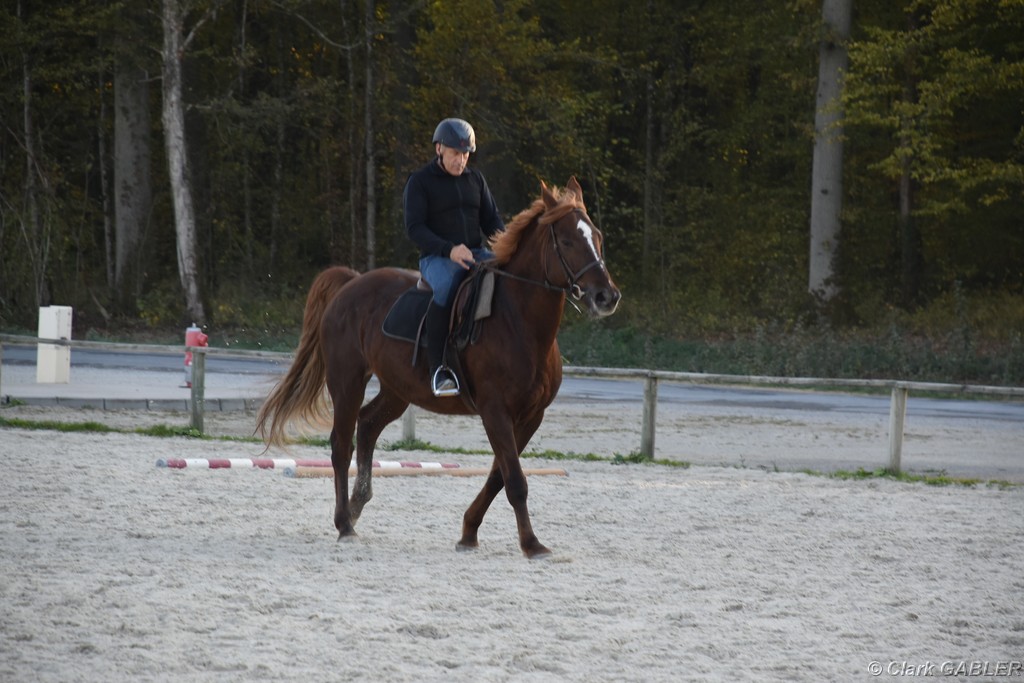 D56_3513.JPG