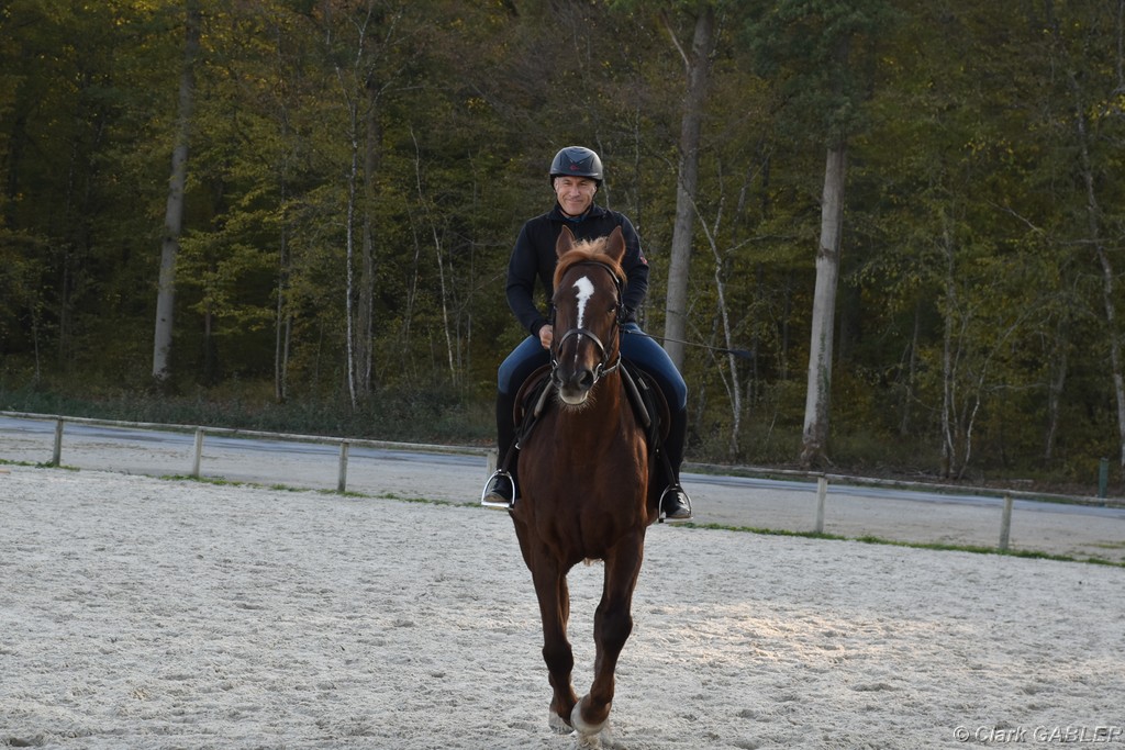 D56_3515.JPG