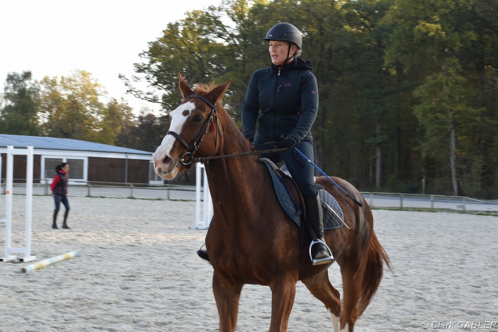D56_3516.JPG