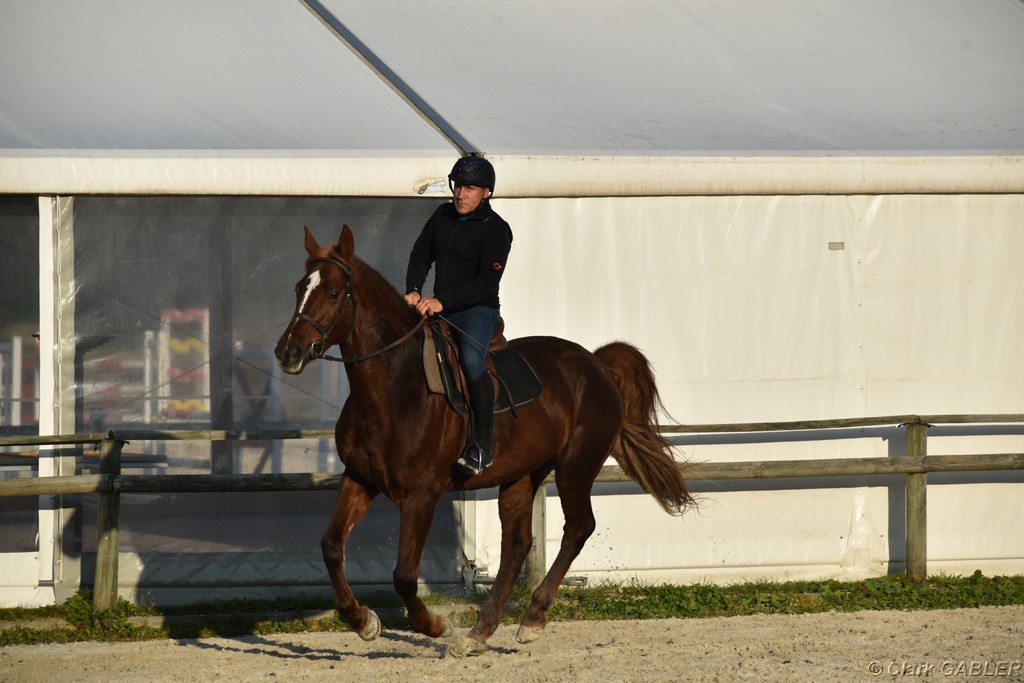 D56_3521.JPG