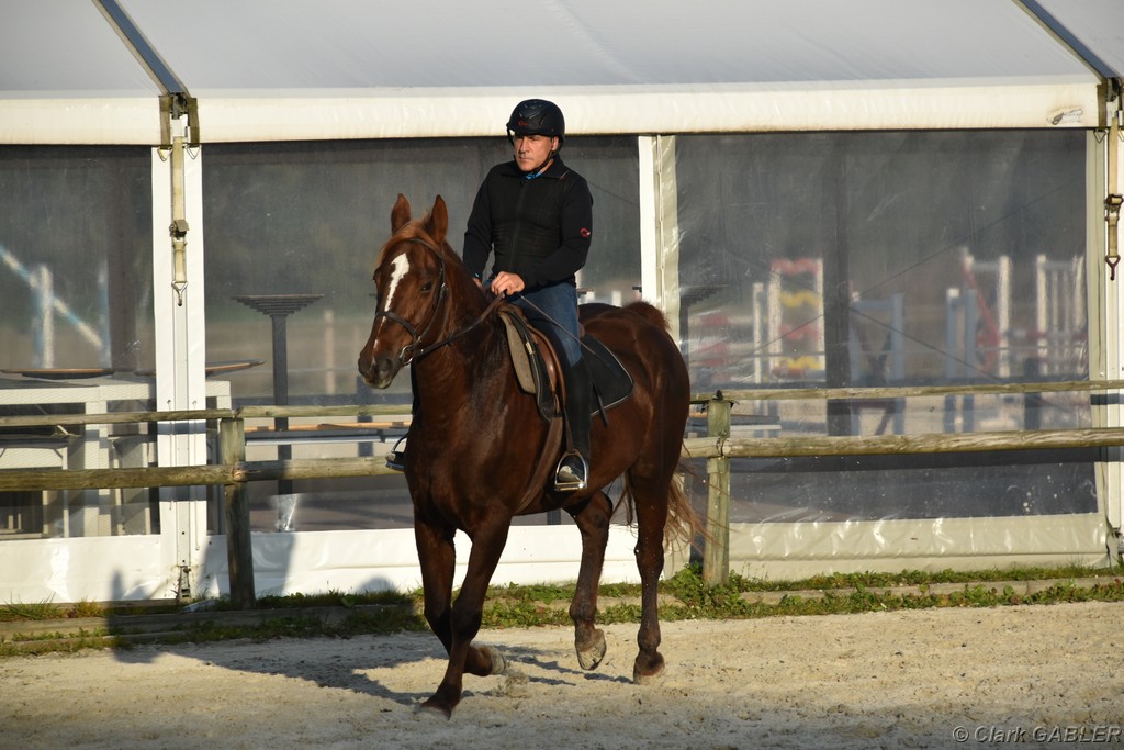 D56_3522.JPG
