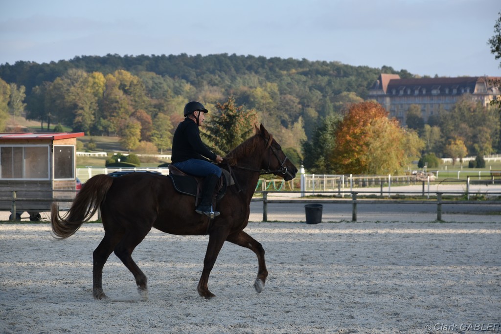 D56_3524.JPG
