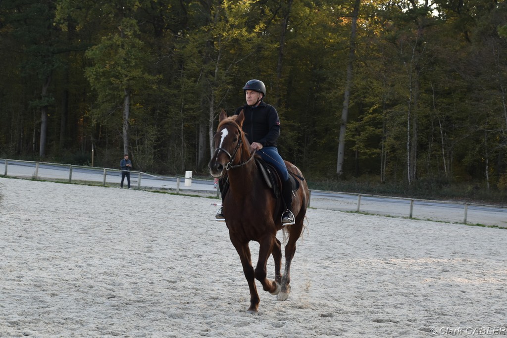D56_3525.JPG