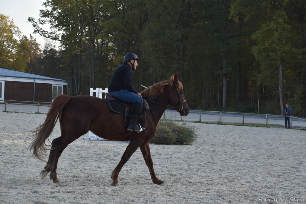 D56_3529.JPG