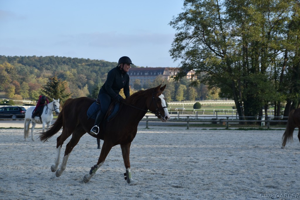 D56_3532.JPG