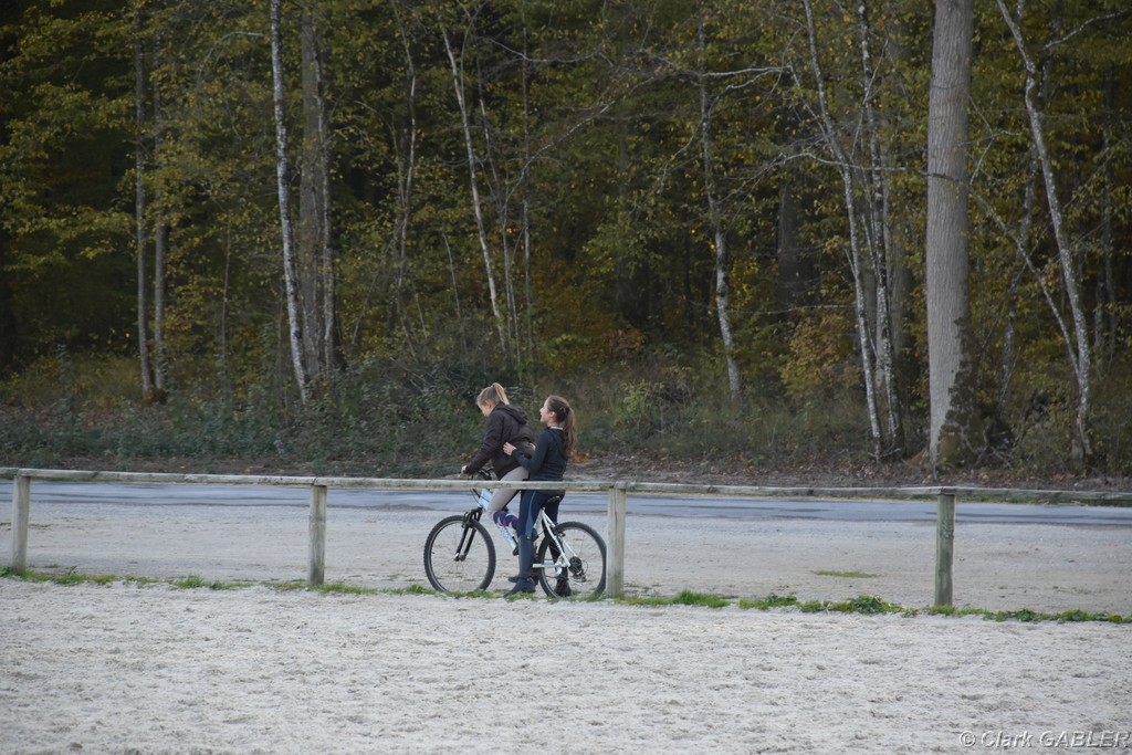 D56_3534.JPG