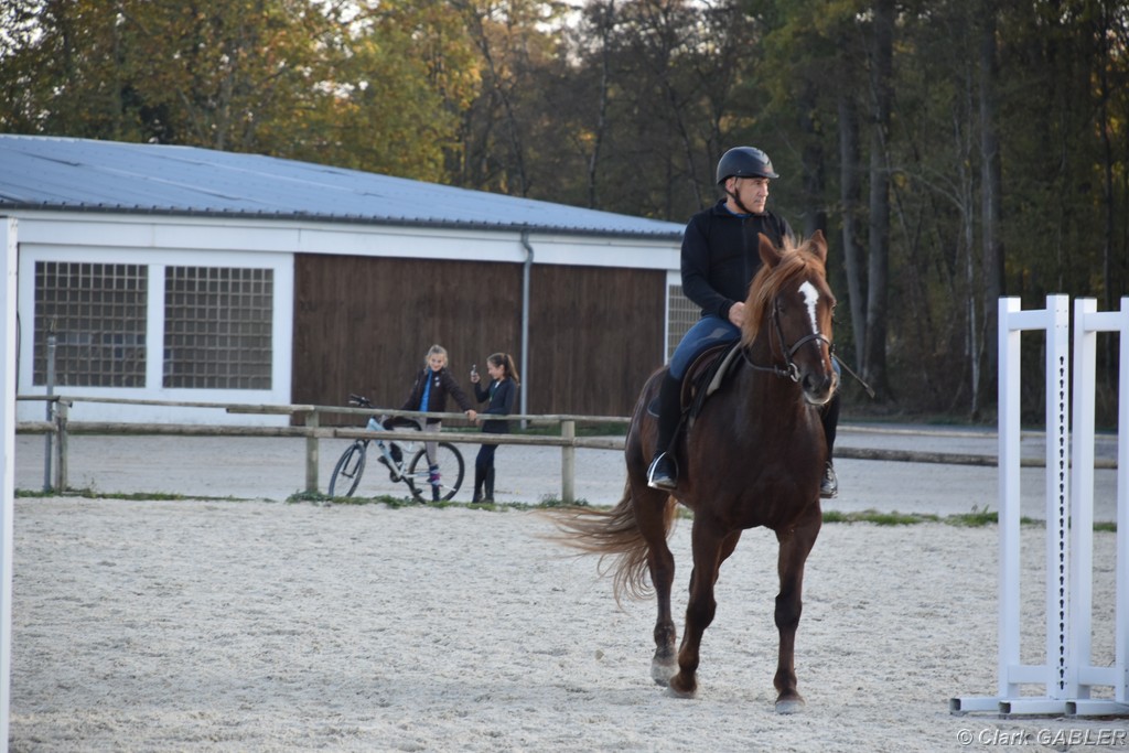 D56_3535.JPG