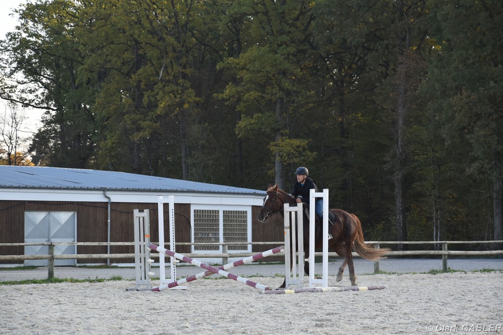 D56_3536.JPG